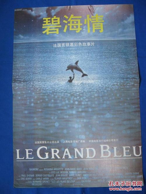 做假广东发展银行流水